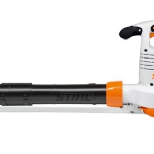 BGE 81